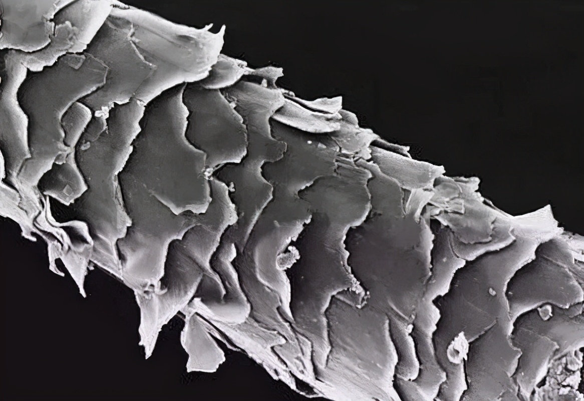 39块负离子吹风机只是噱头,专业人士谈负离子吹风机噱头