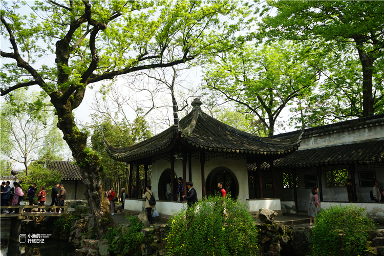 苏州景点拙政园,苏州拙政园感受