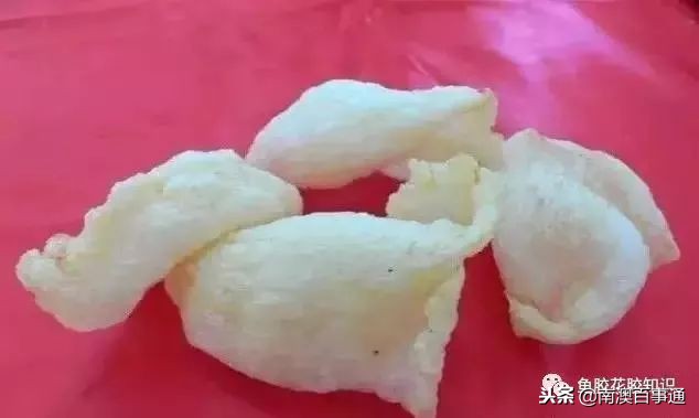 涨知识系列详解,涨知识简短