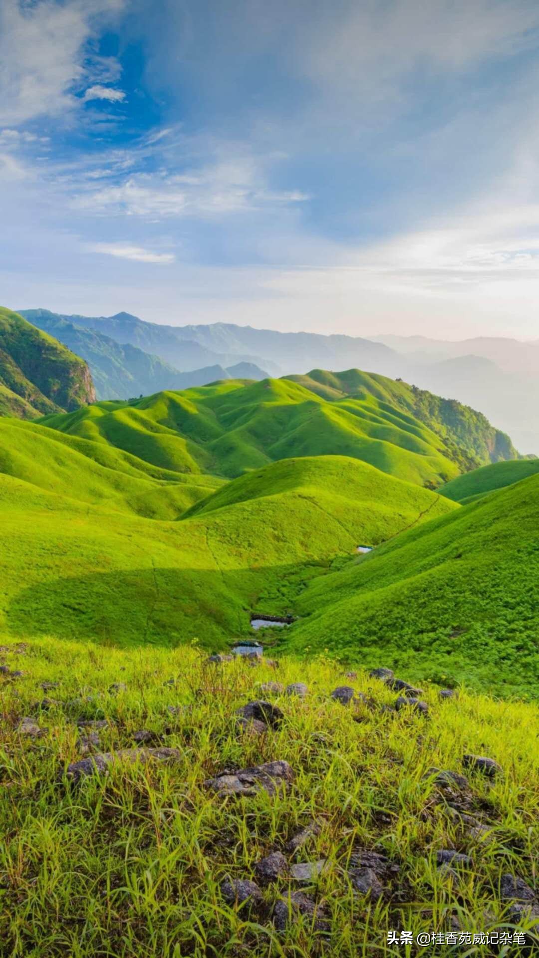 中国地理各个省简称,怎么背中国地理行政区和简称