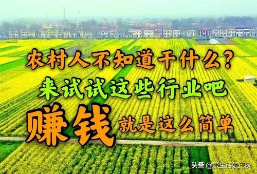100个农村创业项目赚钱,现在农村干什么挣钱8个项目推荐