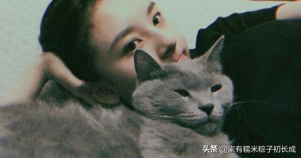 如何对付怀孕母猫,如何化解老婆和家人矛盾