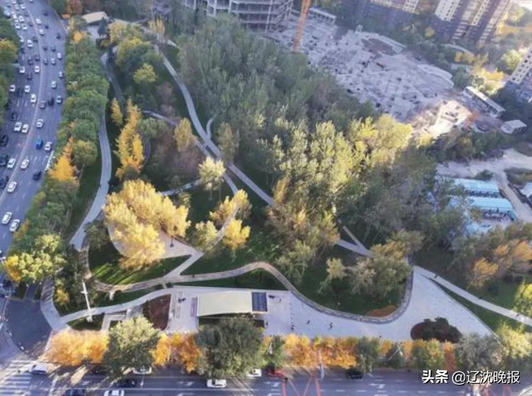 沈阳科普公园最新消息,沈阳科普公园改造后效果图