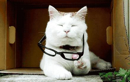 非球面防蓝光镜片275度大概多少钱,防蓝光镜片加镜片低至168元