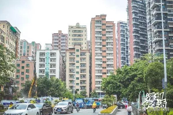 龙华最旺的城中村,深圳龙华城中村排名一览表