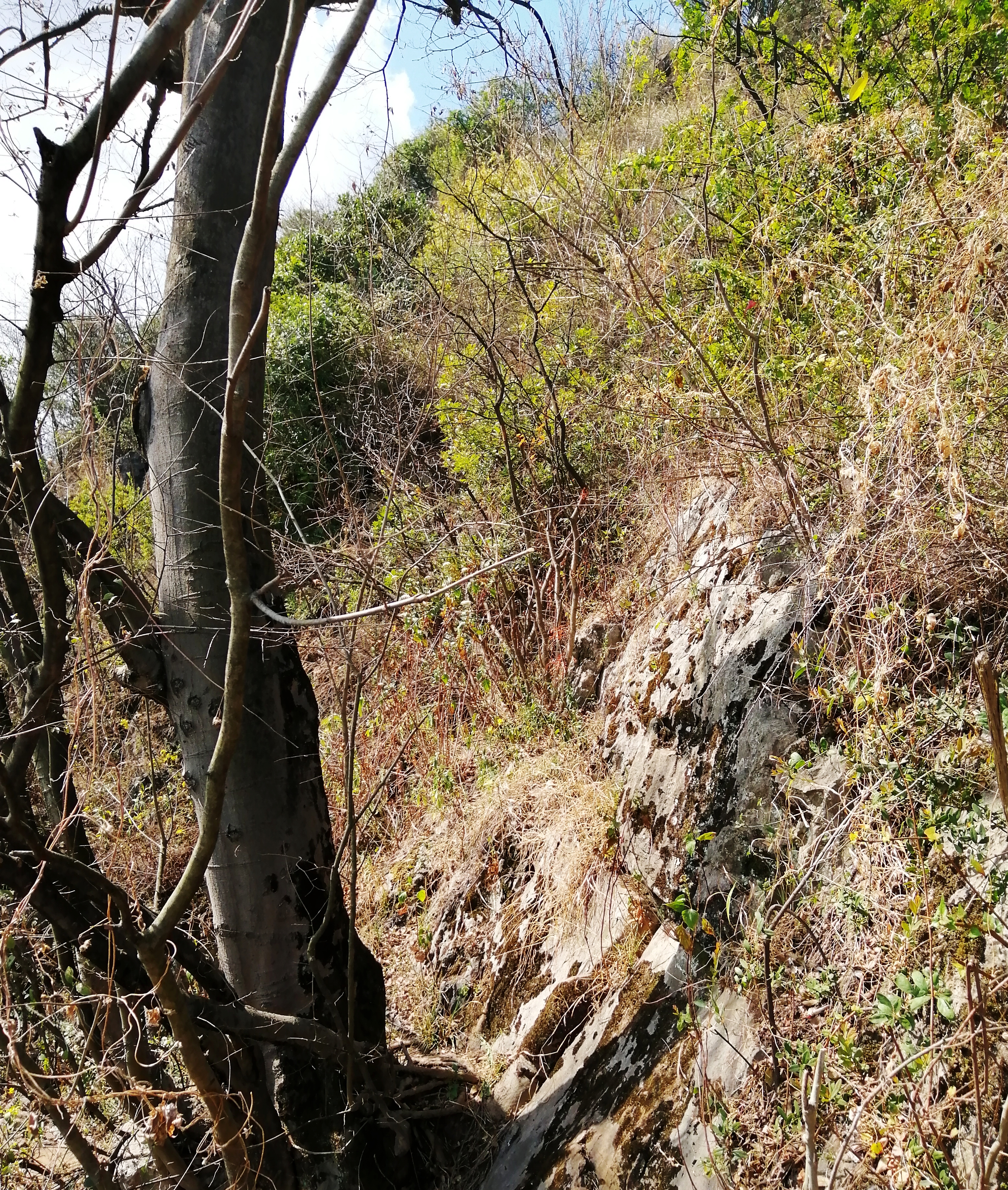 惊喜？悲哀？昆明三环徐霞客探寻过的两个溶洞，还是380年前样子