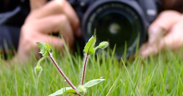 摄影为什么是艺术,关于摄影的深度解析