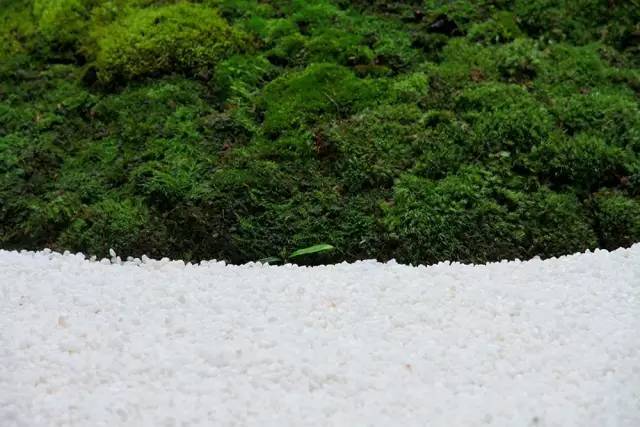 枯山水庭院景观制作过程,庭院枯山水施工做法