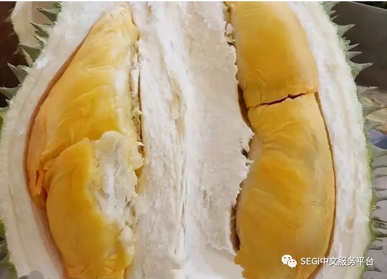 马来西亚的榴莲有啥品种,马来西亚榴莲有几种