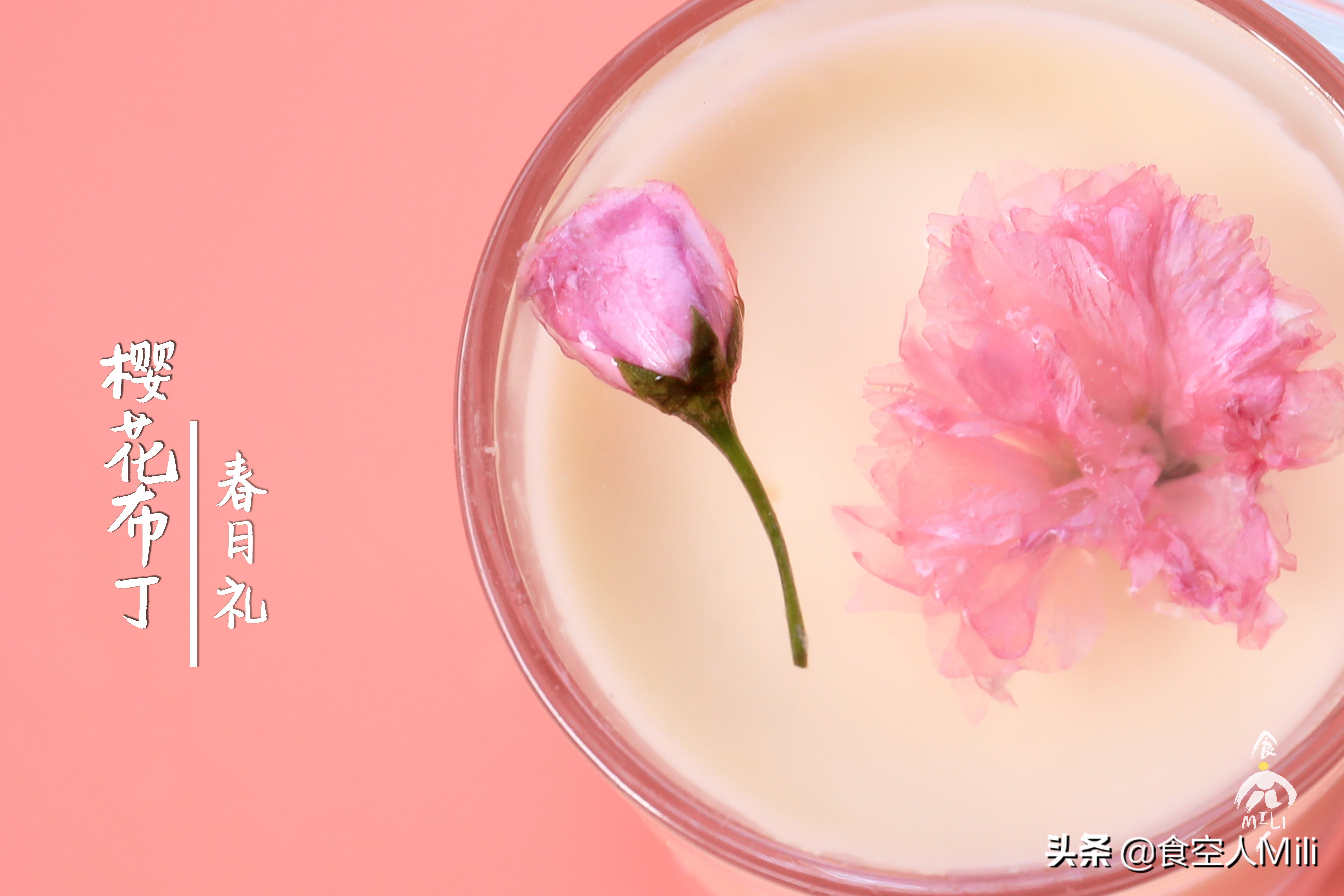 最火的樱花果冻甜品,超醇滑芝士布丁