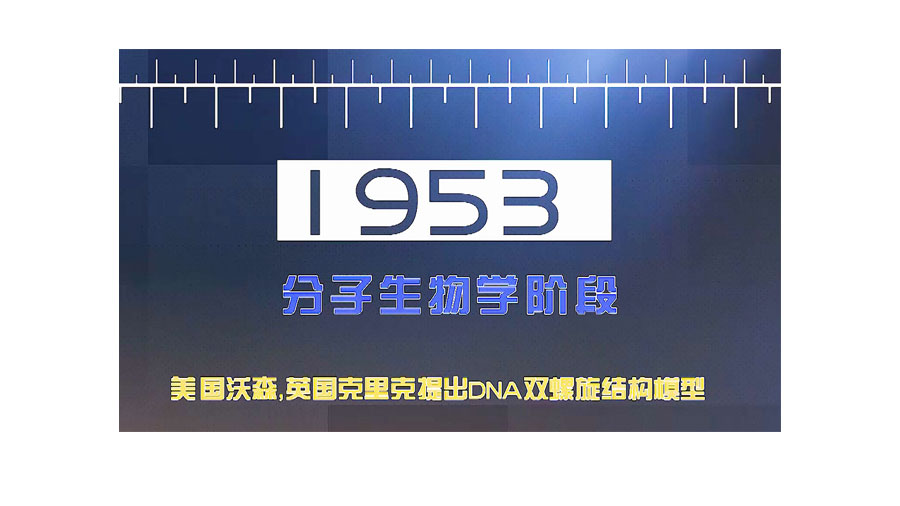 如果基因被破解会有什么后果,人类基因被破解的危害