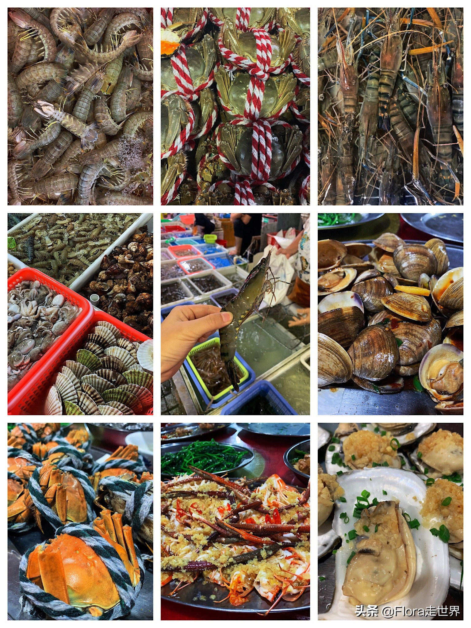 寻味广州特色美食,美食之都广州美味到令人流连忘返