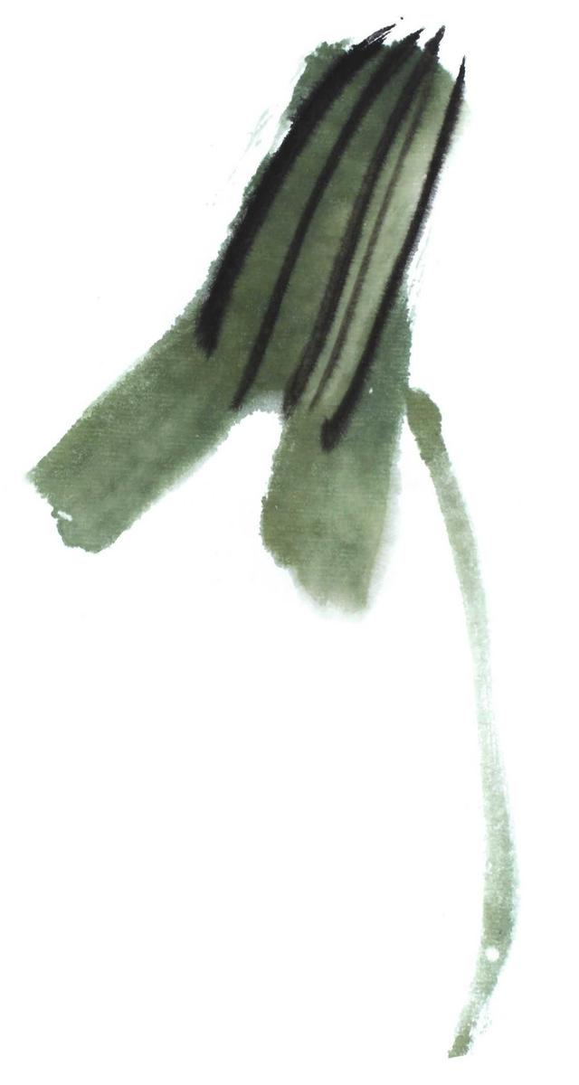 花卉国画教学视频,花卉画法教程中国画