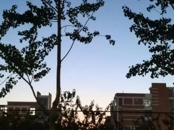 北京科技大学天津学院原独立学院,北京科技大学天津学院独立学院