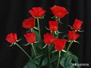 520祝福语表达爱意句句温馨美好,520祝福语送给最在乎的人