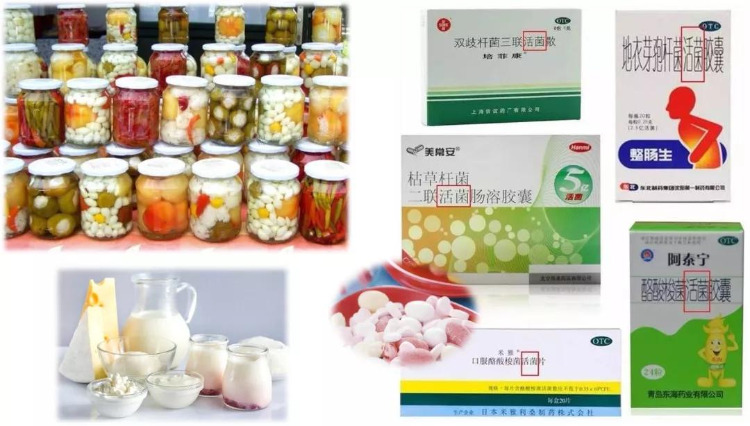 ibs肠易激综合征是浅表性胃炎吗,ibs肠易激综合征