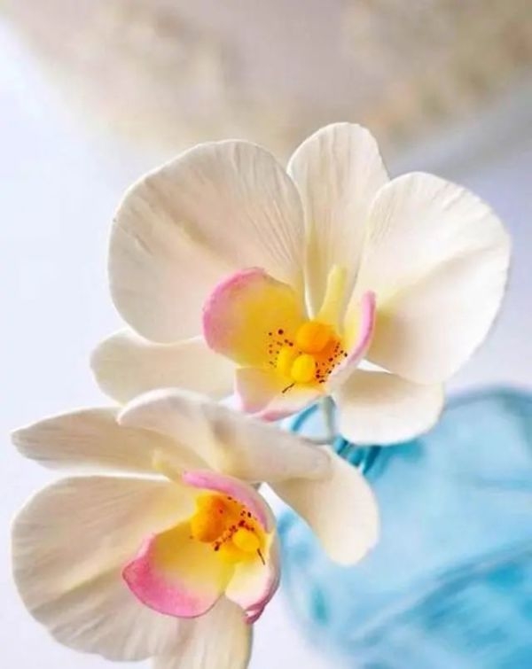 朋友圈说说精致的句子,精致走心的句子高级朋友圈说说