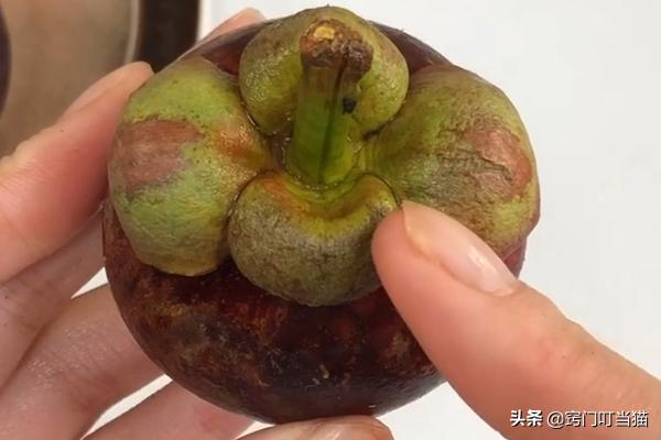 山竹顶上有小机关,山竹的顶部小机关