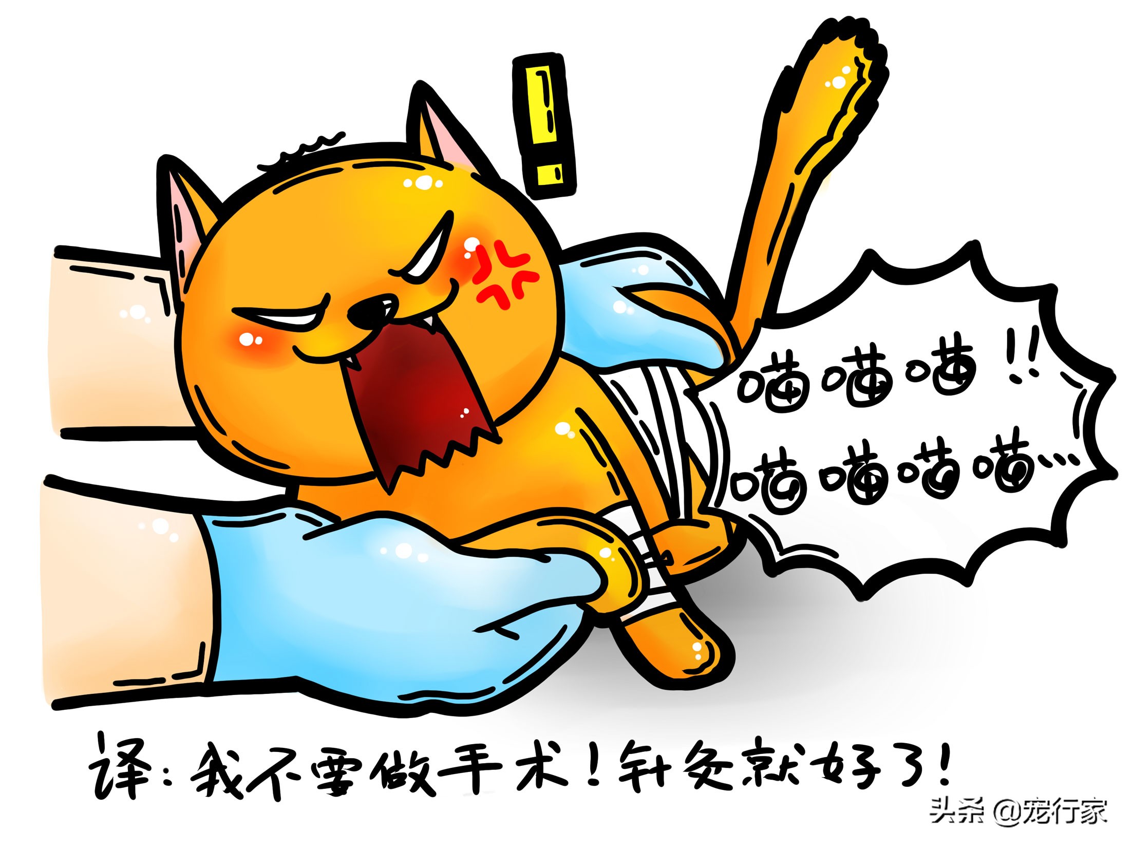 猫咪进行针灸治疗真的有效果吗,猫针灸一次多久