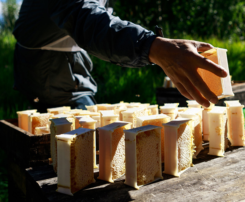 河南大爷创业视频,河南大爷一年收入