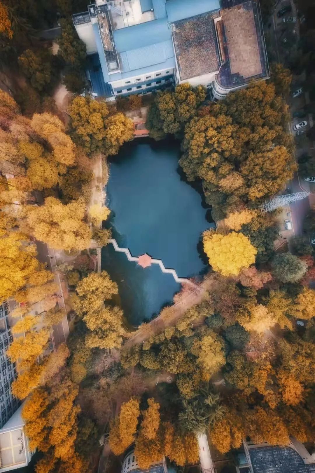 中国最美的大学武汉大学,最美的武汉大学