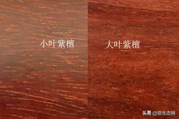 木材回收入门知识大全,木材常用知识大全