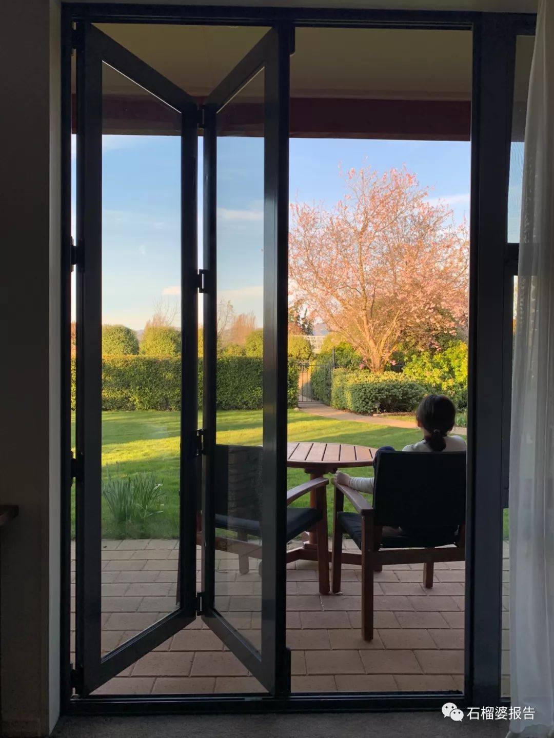 旅行7天,新西兰霍比特人村游记