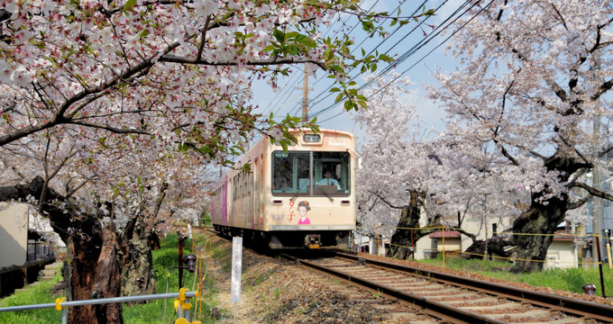 京都是日本人的故乡,京都是日本人心灵的故乡