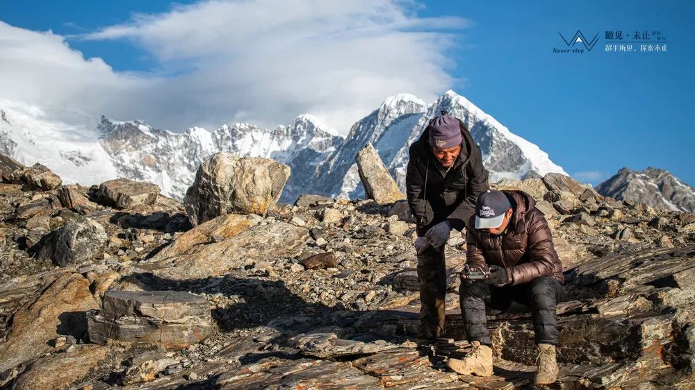 高山之巅的感悟,高山低谷的感悟
