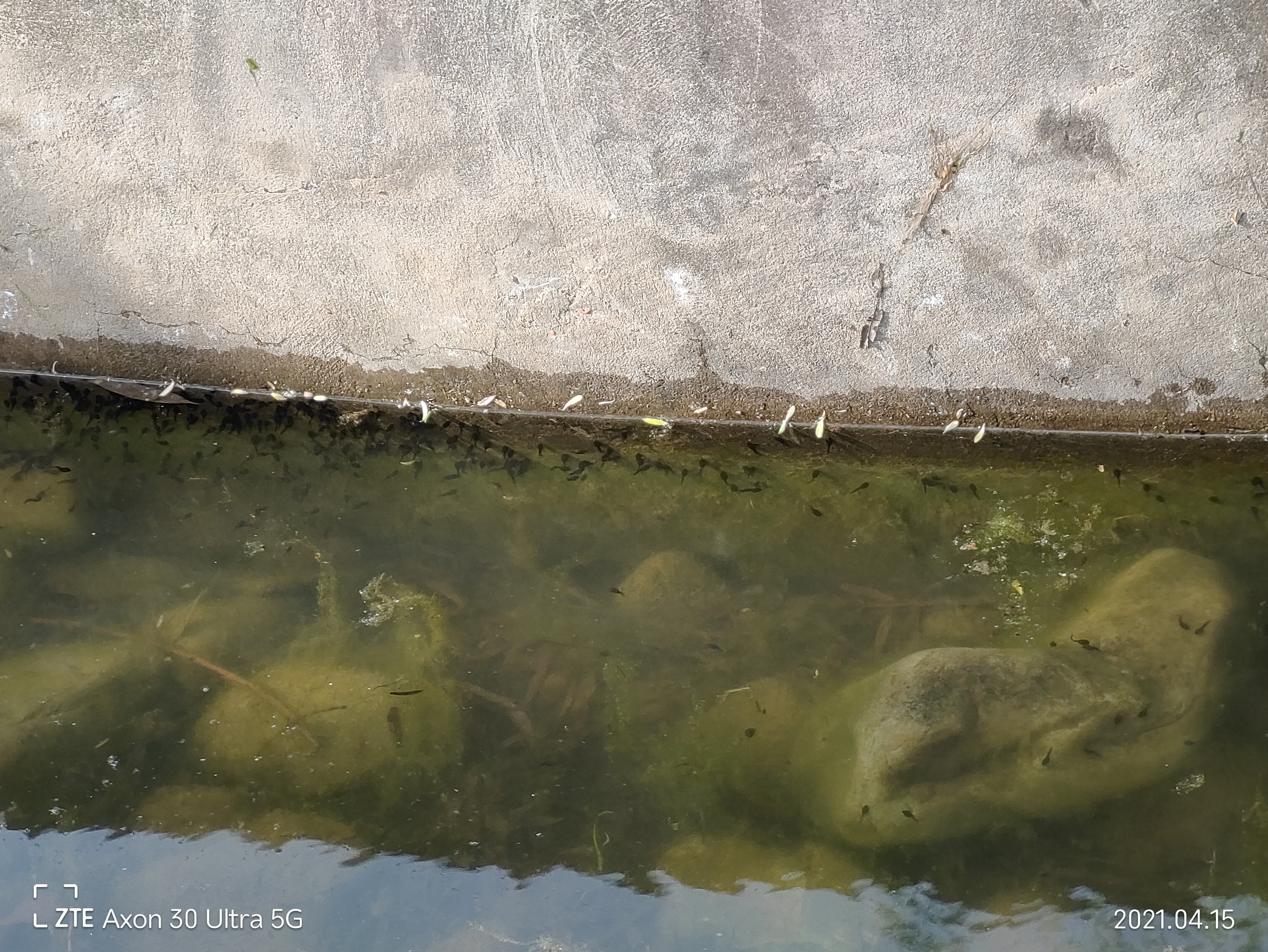 中兴axon30ultra评测屏下摄像头,中兴axon30ultra三千新机能入手吗