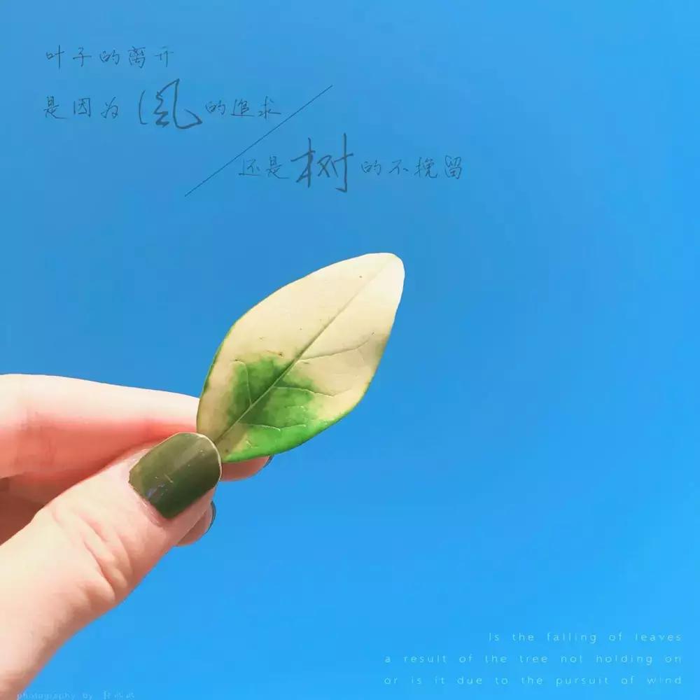 一千万可以实现财务自由吗,有一个亿能实现财务自由吗