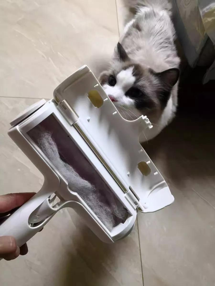 有宠一族必看：啥家庭条件呀，好几万的沙发随便毁？