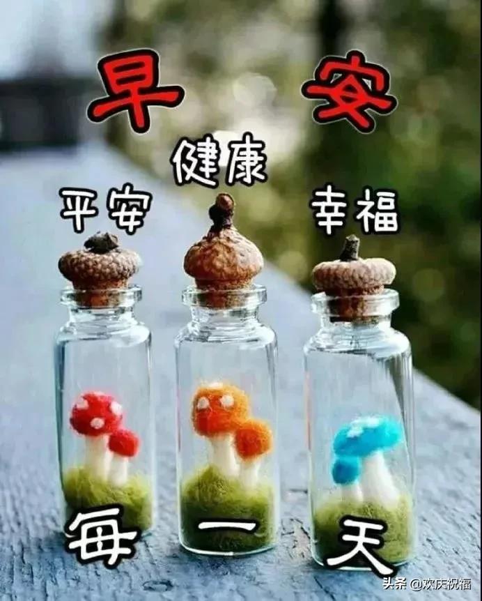 每天早晨对着镜子给自己一个微笑,每天早晨面向太阳给自己一个微笑