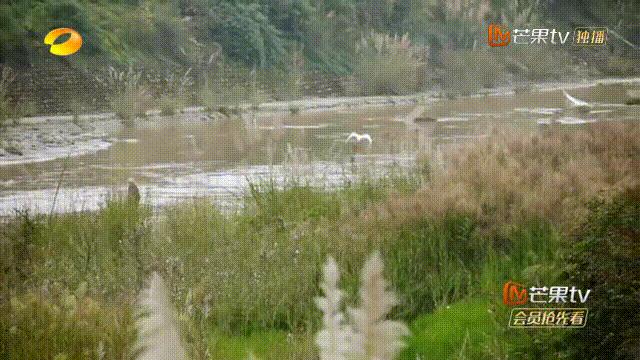 神似赫本，妩媚胜梦露，从泉州到成都，她们如精灵洒落人间