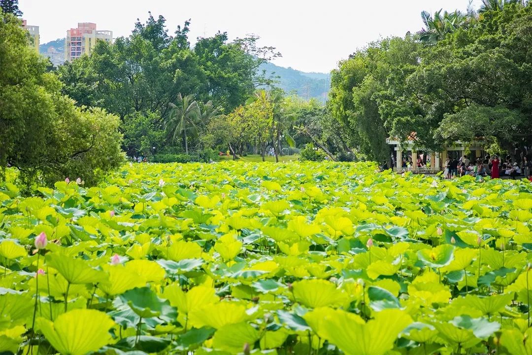 天下最美湖泊西湖,比西湖更美的湖泊