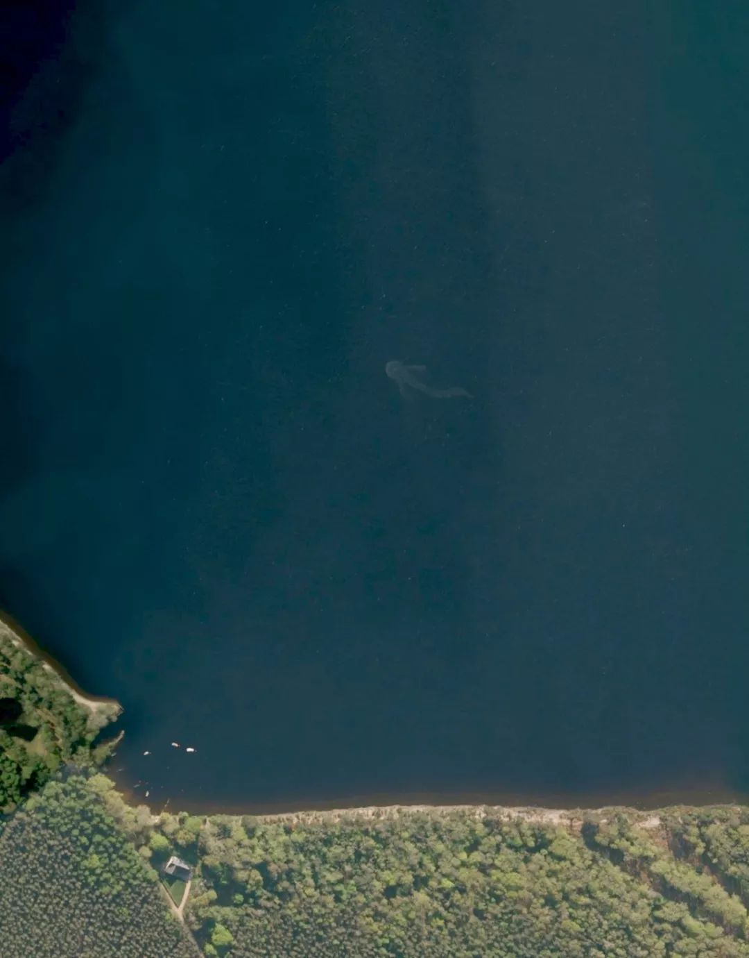 从太空看地球的一年四季真实面貌,上帝视角俯瞰我们的地球是怎样的