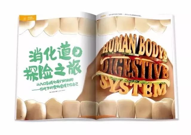 班主任推荐订的杂志，有些真是“一言难尽”|儿童杂志亲测