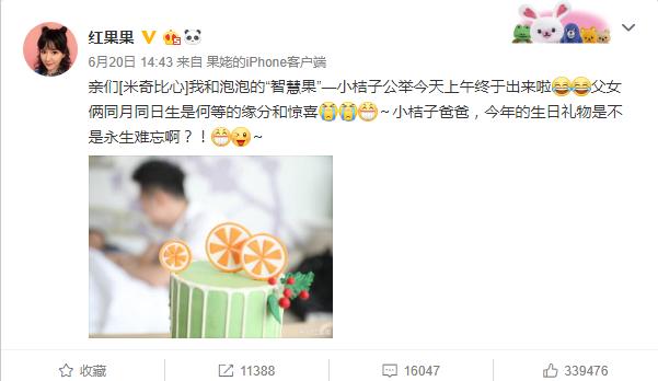 红果果绿泡泡回忆杀,红果果和绿泡泡恩爱瞬间