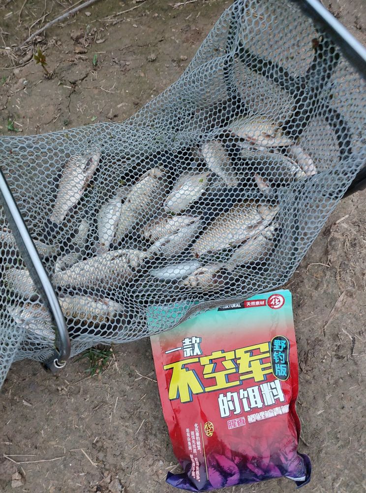 汉鼎全能战6.3米28调鱼竿测评,汉鼎全能通杀饵料