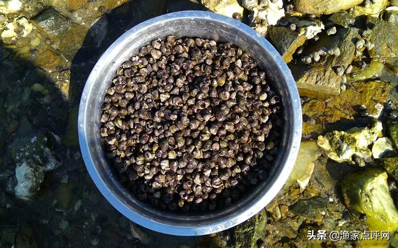 大连这个小岛不去看一看，真的会后悔