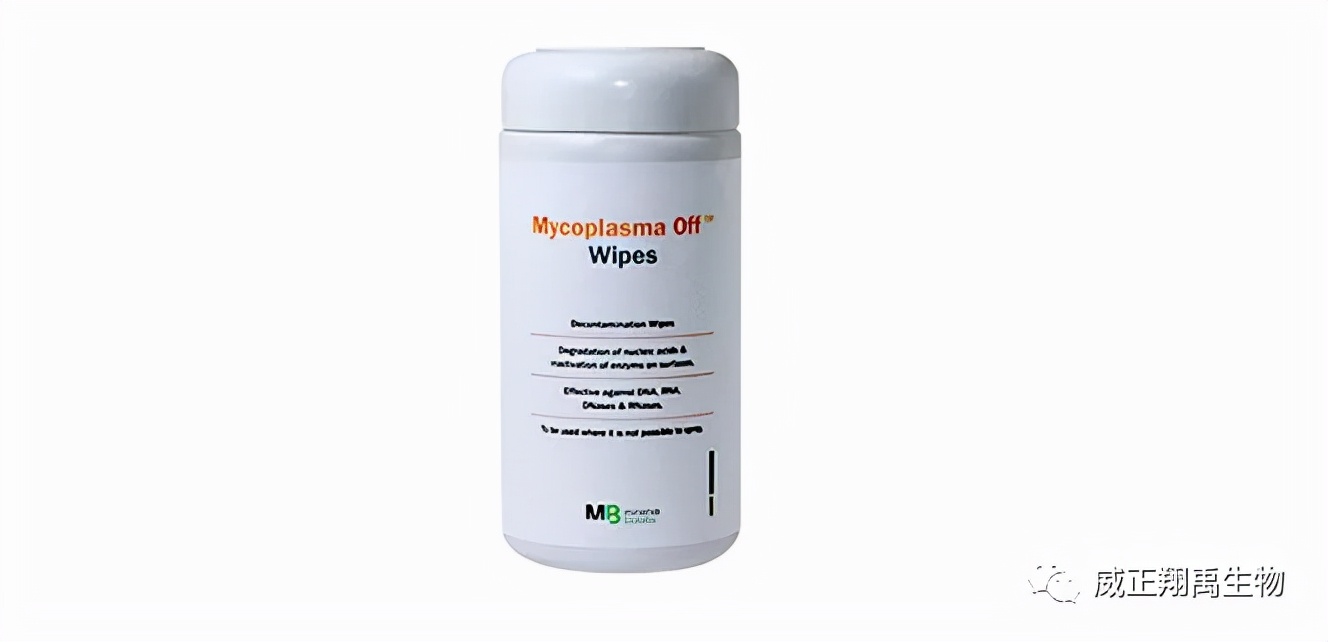 支原体污染怎么处理,支原体污染