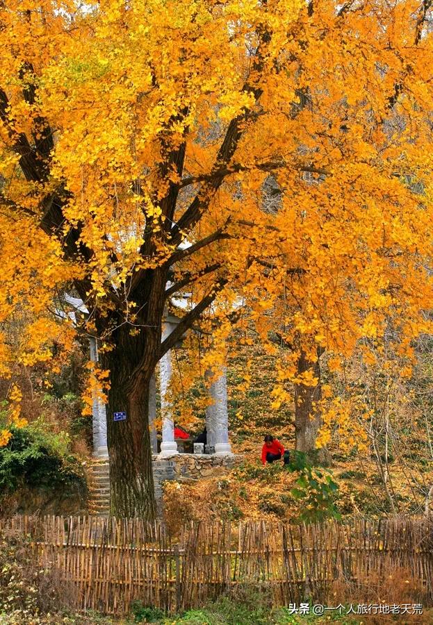 这才是12月最值得去的旅行地,11月12月去哪里旅游最美