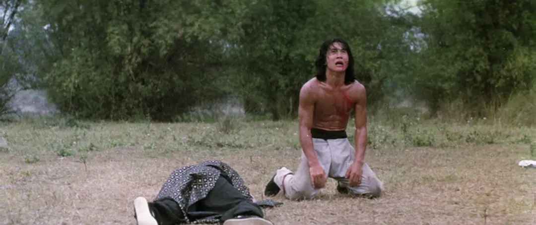 赵文卓和甄子丹矛盾的电影,赵文卓和甄子丹同演的电影