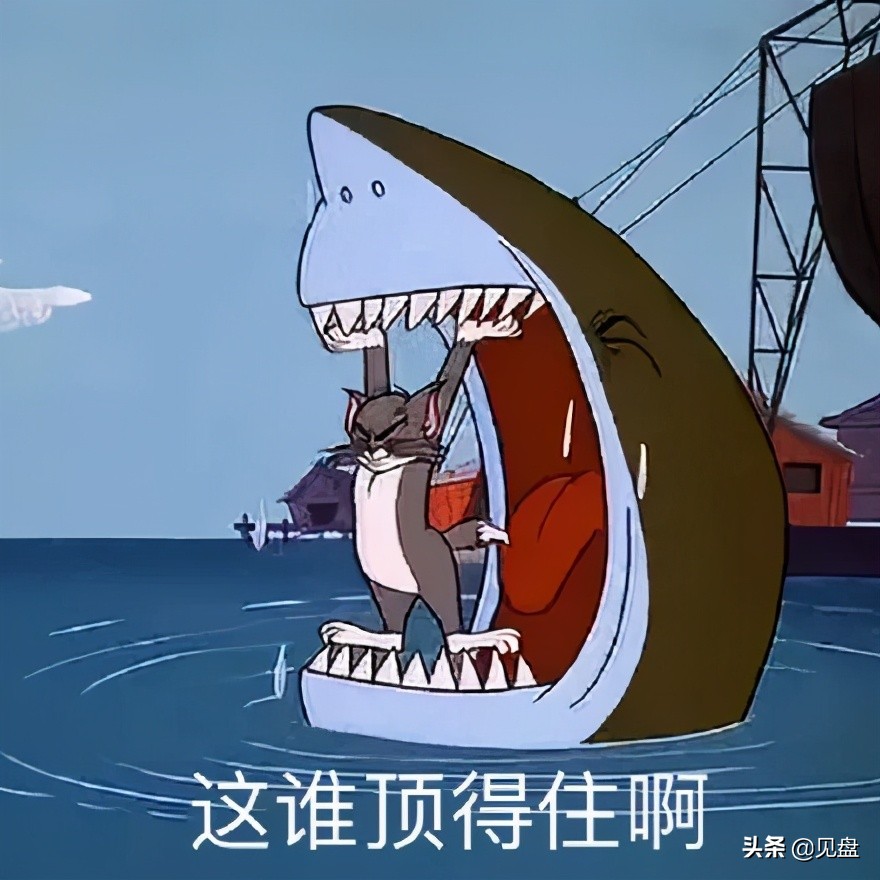 张琪格亮出户口本现场招“婿”,交大高材生主动上门遭婉拒