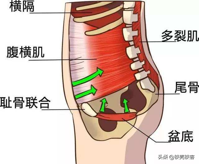 腹式呼吸锻炼身体,腹式呼吸能锻炼腰腹力量