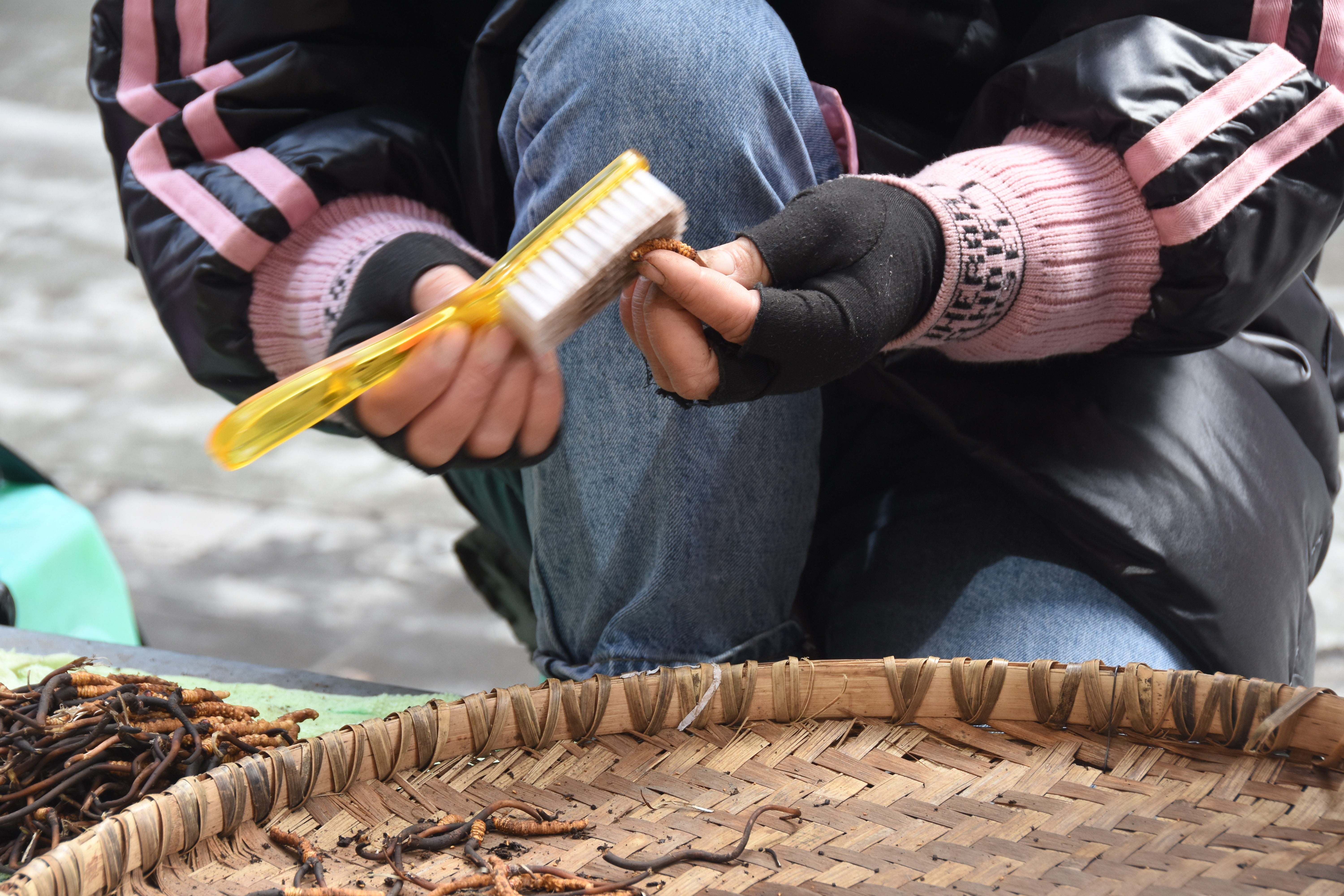 逆势上扬乘风破浪再出发,逆势上扬扬帆济沧海