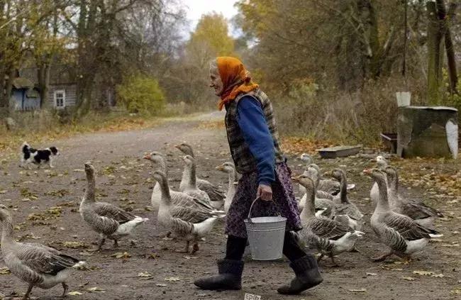 辐射区的现状,辐射区的故事未解之谜