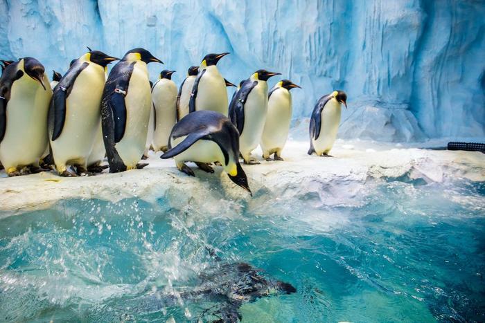 珠海长隆童趣乐园游玩攻略,出发游玩转珠海长隆海洋王国