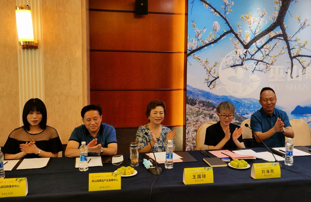 重庆巫山脆李品牌推介会,巫山脆李指定经销商