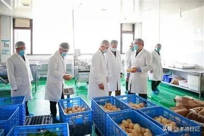 湖北孝感最新复学通知,孝感各高中复学率